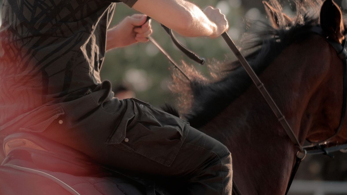 Toeristen redden paard en ruiter nabij Belgische Maas