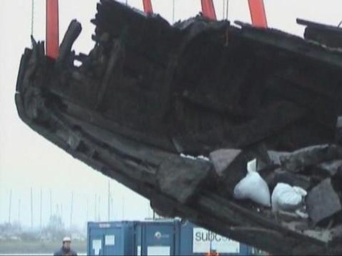 nschip16_09.transfer.cropresize.tmp.jpg