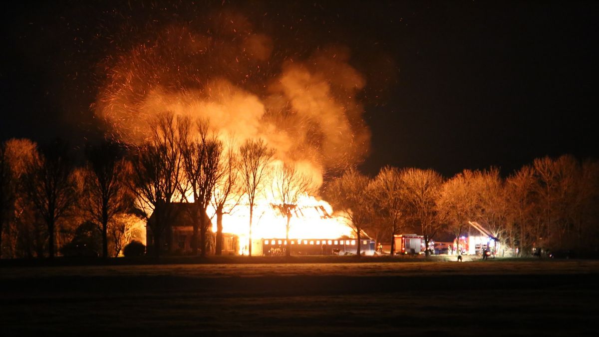 Jongvee omgekomen bij grote boerderijbrand Tzienzerbuorren