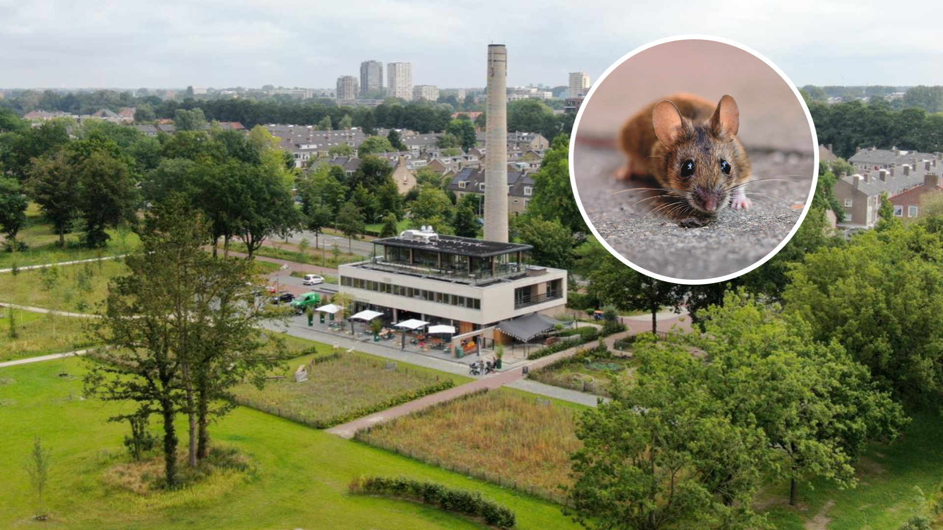 Geen muizen, maar kinderen rennen weer rond in Amersfoortse kinderopvang