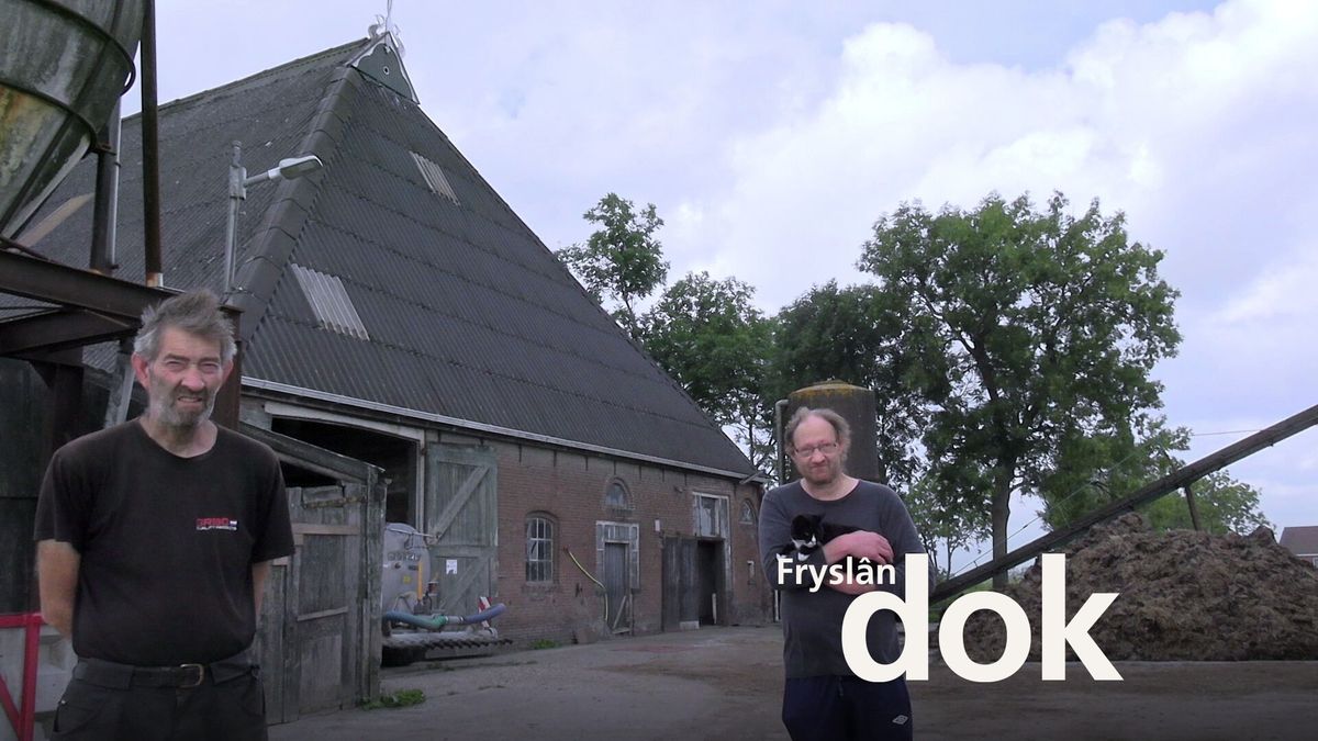 Kunnen broers Albert en Maarten uit Eastrum doorgaan met het werk op de boerderij?