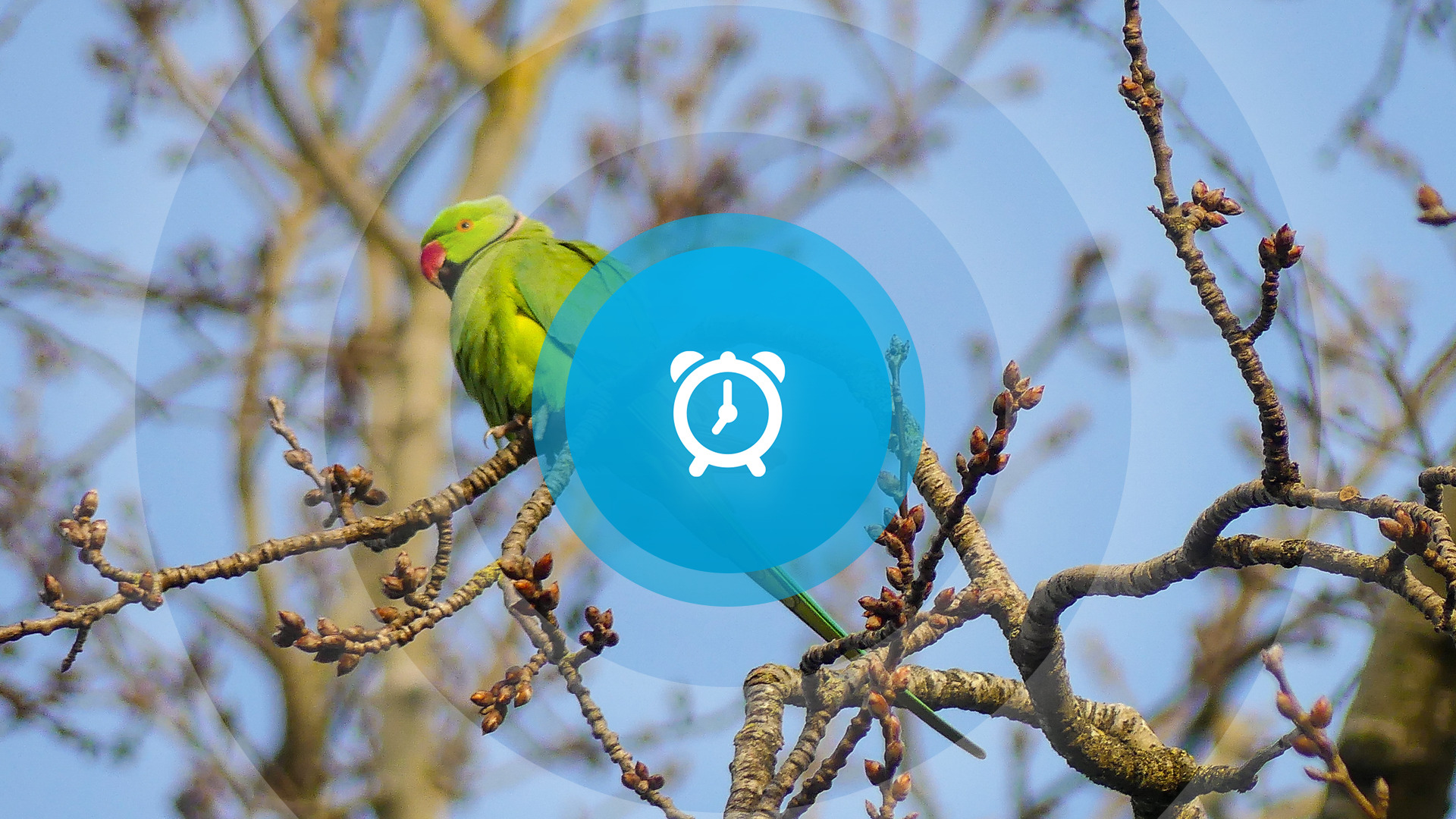 Goedemorgen! 3M betaalt PFAS-schade, 13 verhalen over slachtoffers Tweede Wereldoorlog en geiten borstelen