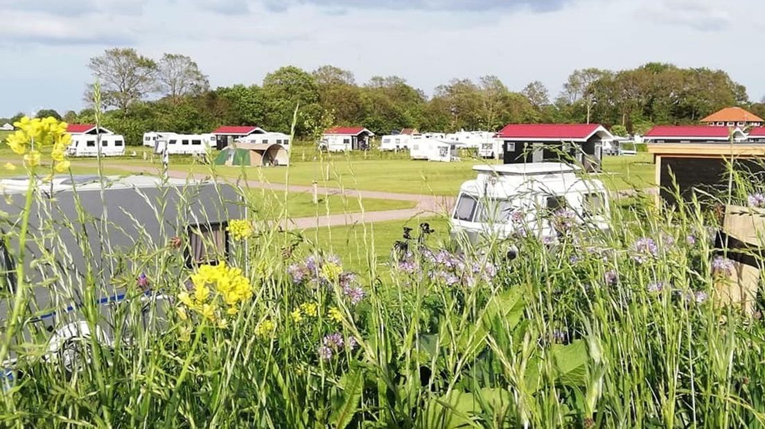 Camping Het Noordenveld is de beste grote camping van Nederland (Rechten: Camping Het Noordenveld)