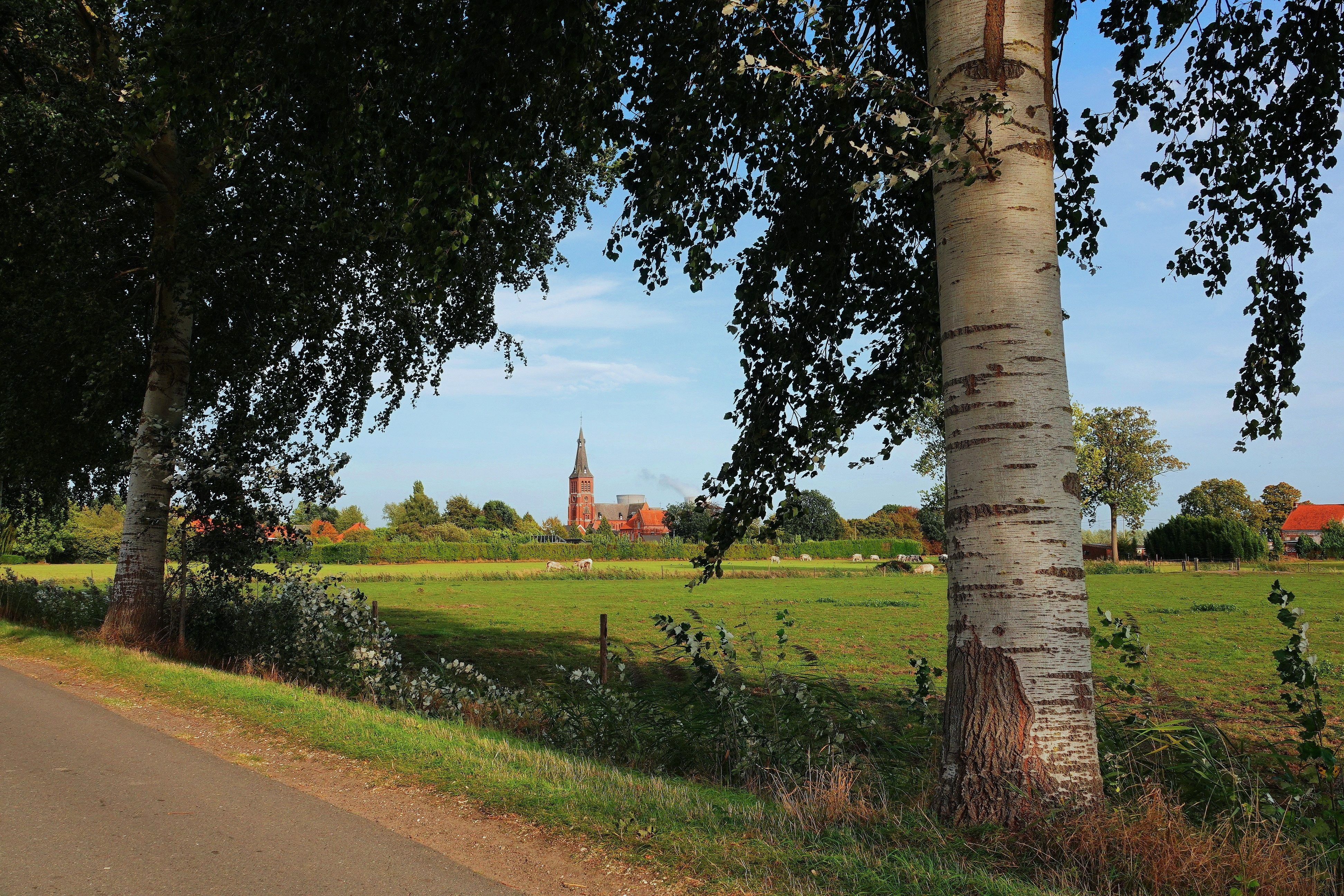 Heerlijk zonnetje in de Prosperpolder