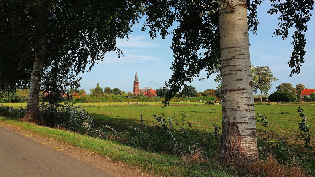 Heerlijk zonnetje in de Prosperpolder
