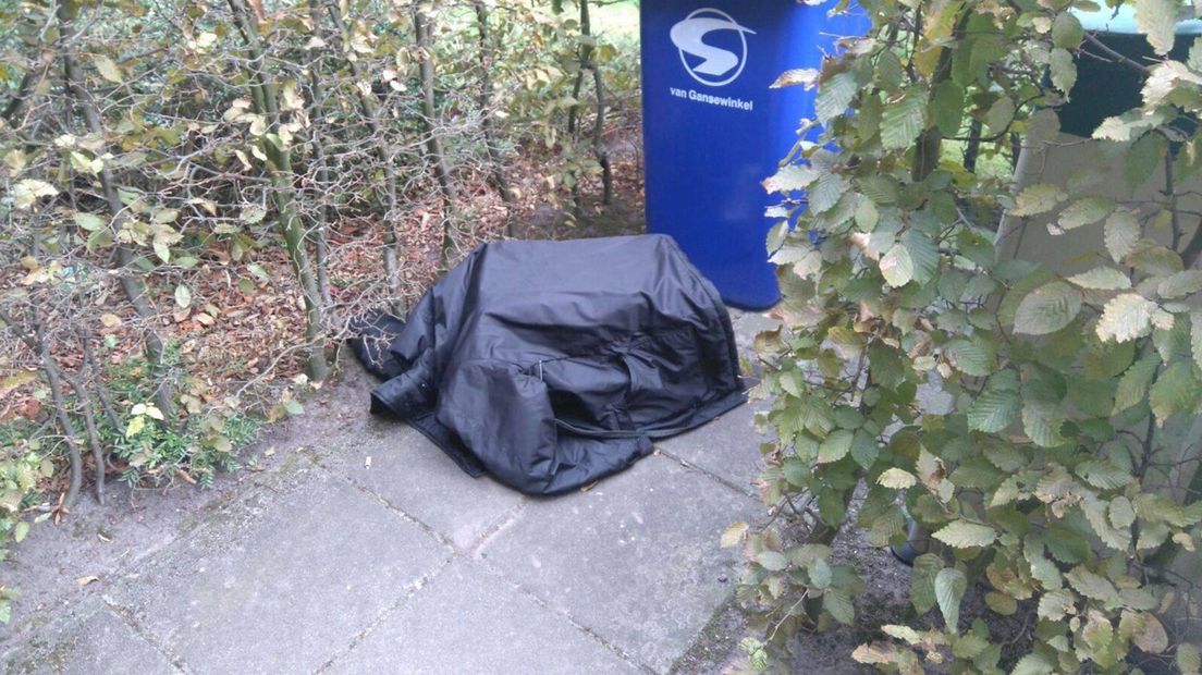 Gedumpte katten werden zo aangetroffen