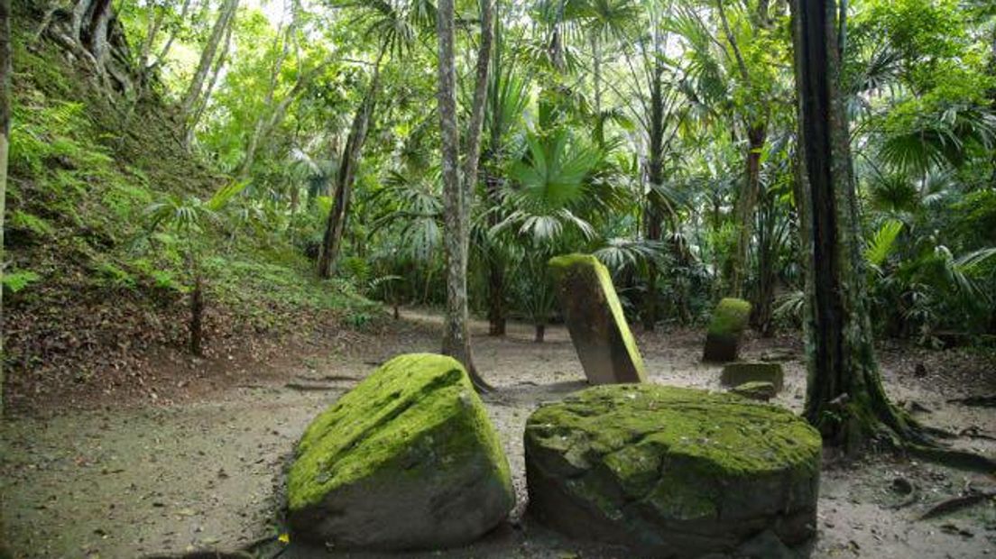 Nationaal Park Tikal in Guatemala (Rechten: Edwin van Stenis / RTV Drenthe)