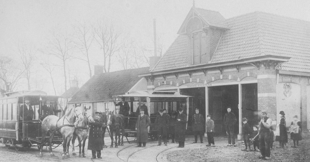 Dorpsgeschiedenis tot leven gebracht: 'Dan zie je ineens een paardentram door Winsum rijden'