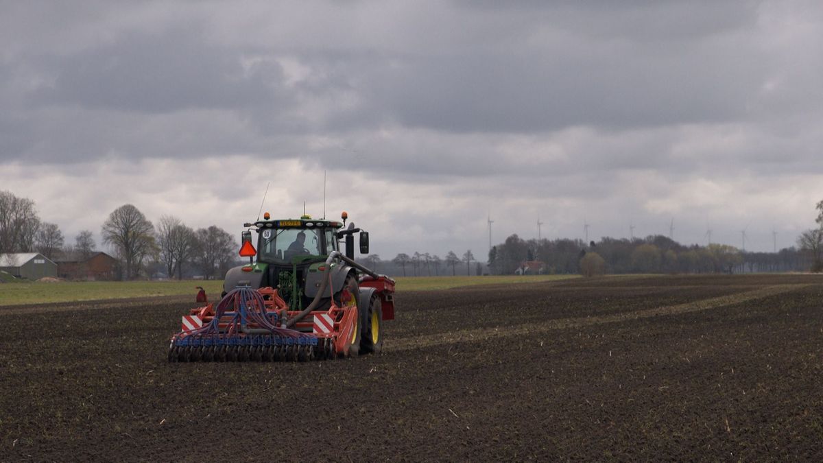 Oogsten onzeker na uitspraak rechtbank