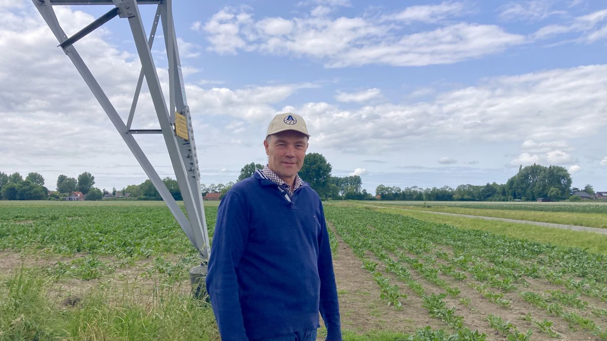 Hoogspanningsmasten verdwijnen uit achtertuin: 'We hebben een pracht van een landschap, het is mooi 