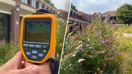 In deze binnenstad kunnen plekken tot wel 80 (!) graden worden