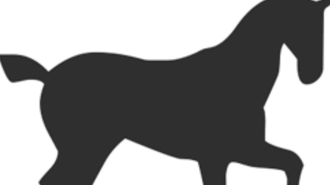 Gewond paard aangetroffen in stal