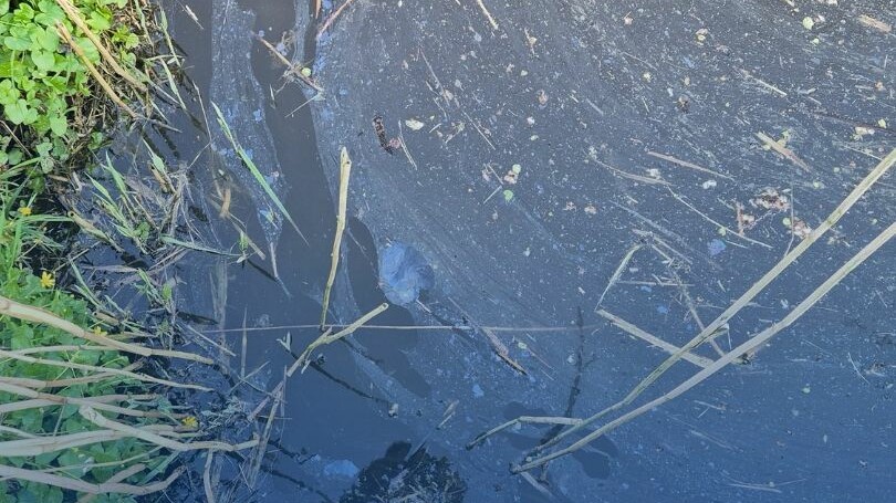 Dumping van chemische stoffen