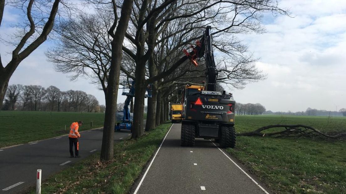 De Gelderse Natuur en Milieu Federatie, de Achterhoekse Bomenstichting en lokale protestgroepen maken zich grote zorgen over de toenemende kap van bomen in Gelderland. Minder bomen is slecht voor het milieu en het landschap en grondeigenaren kappen om de verkeerde redenen.