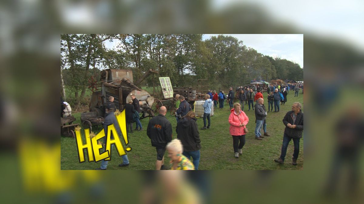HEA! Bijzonder Flaeijelfeest in Nieuwehorne