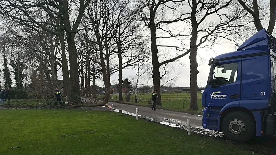 Vrachtwagenchauffeur dodelijk getroffen door boomtak