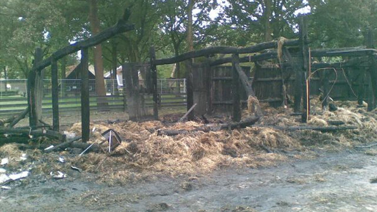 Schaapskooi Orvelte afgebrand