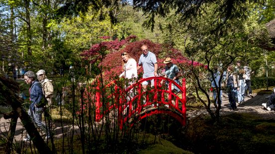 Japanse Tuin weer open, reserveren is vanaf nu verplicht Home