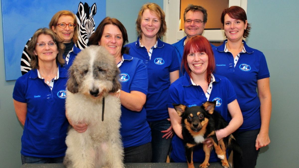 Dit verzin je niet: Van Leeuwen, Kip en Van Osch runnen