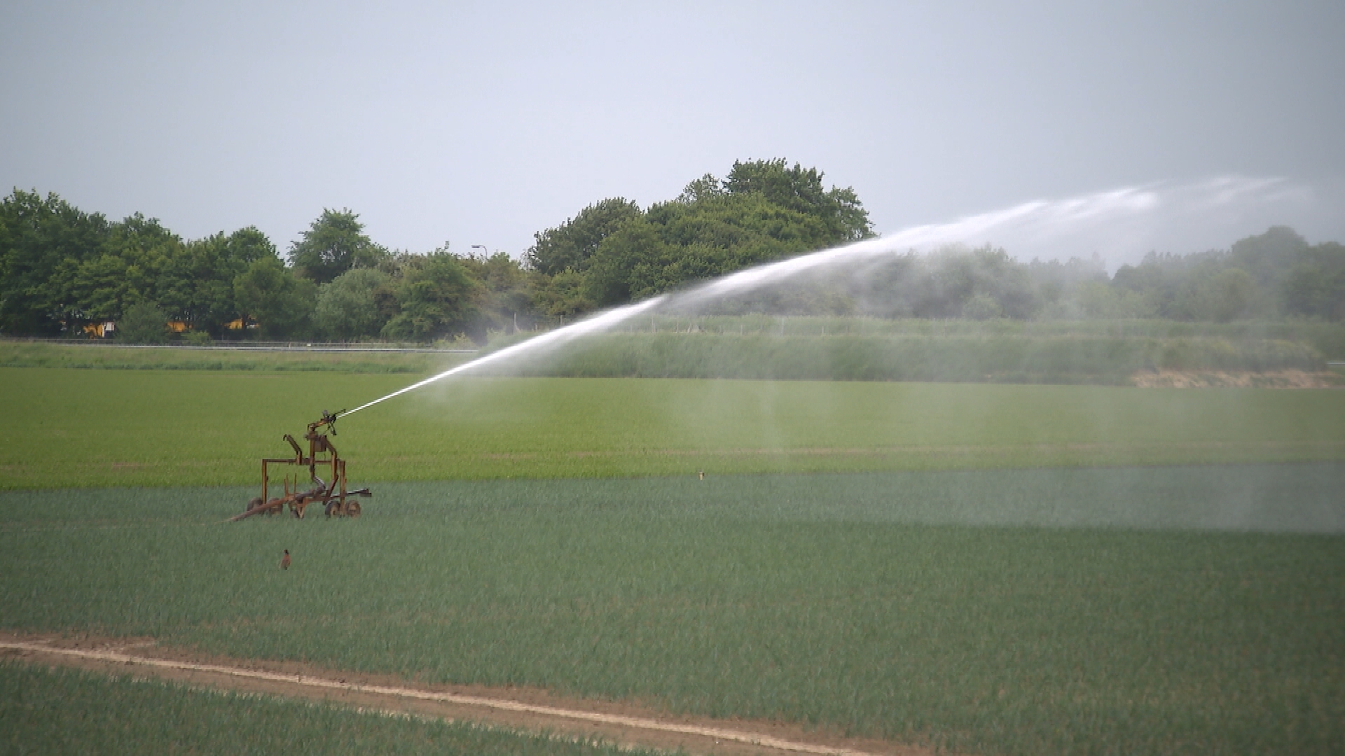 Afvalwater van maisfabriek moet meer zoet water opleveren voor boeren
