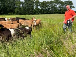 Bioboeren uit Foxwolde grijpen naast titel 'Agrarisch Ondernemer van het Jaar'