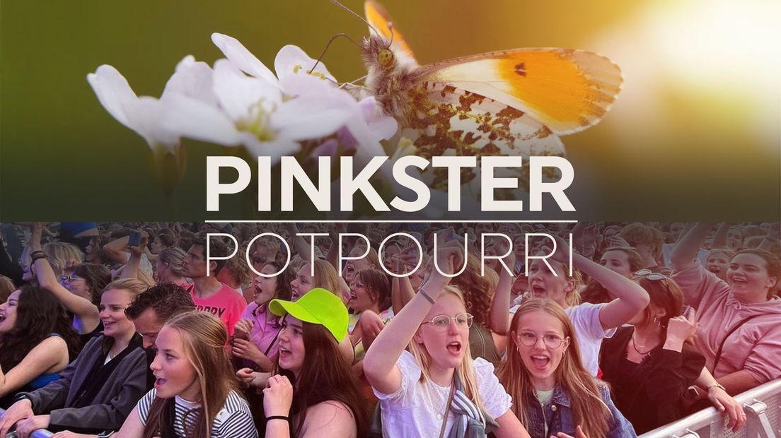Pinkster Potpourri