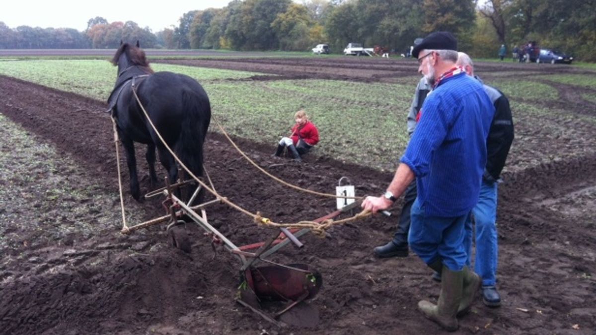 Traditionele ploegwedstrijd in Orvelte trekt veel publiek