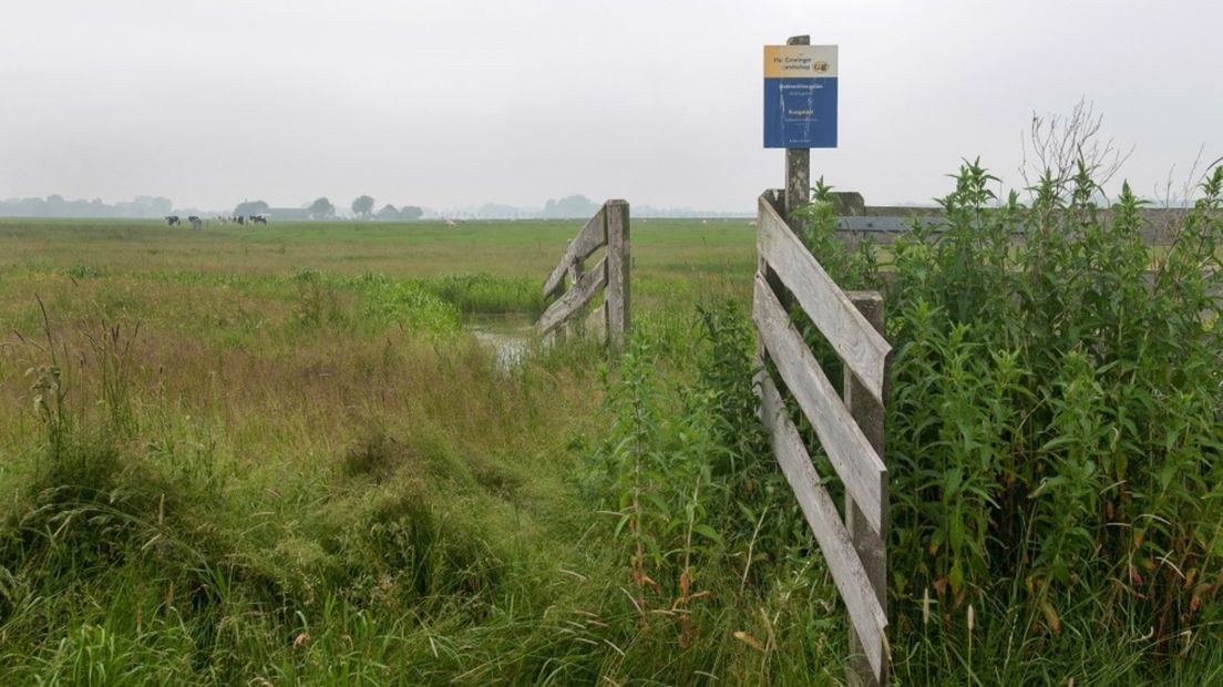 De Medenertilsterpolder