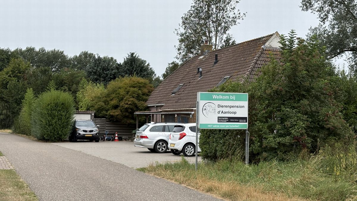 Inspectie duidelijk over hondenpension D'Aanloop in Darp: 'Vanaf het begin al veel mis'