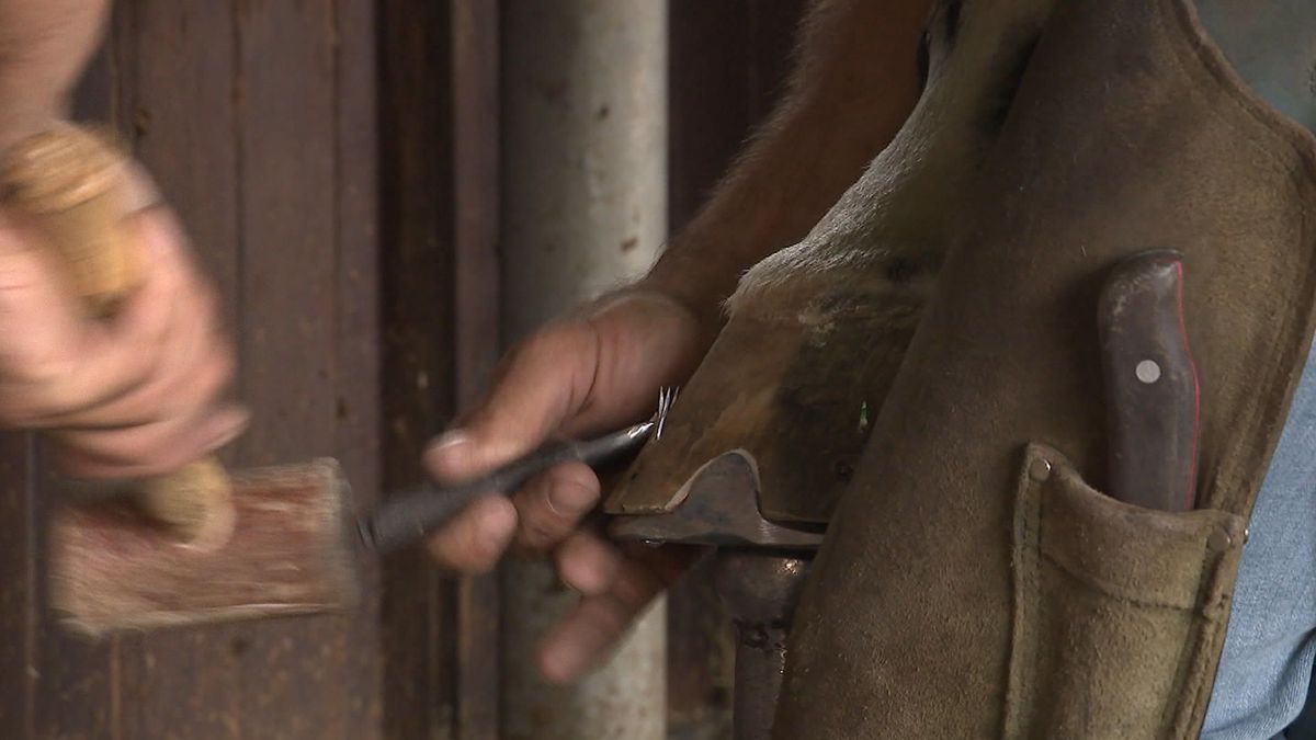 Bakker en Frederiks al jarenlang verslingerd aan paarden en elkaar