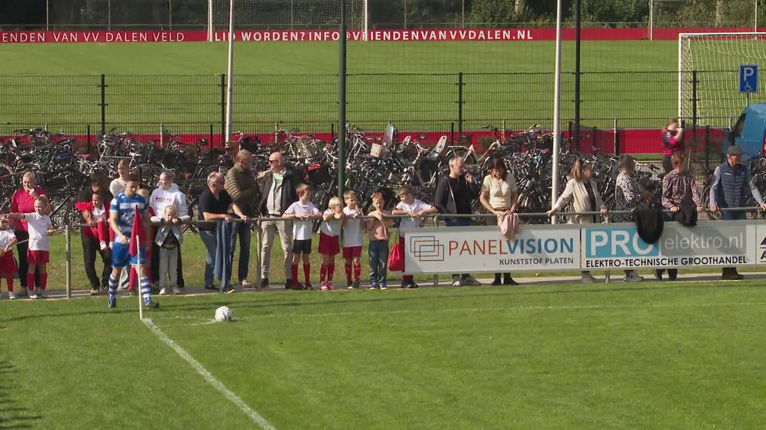 Samenvatting Dalen - Ruinen