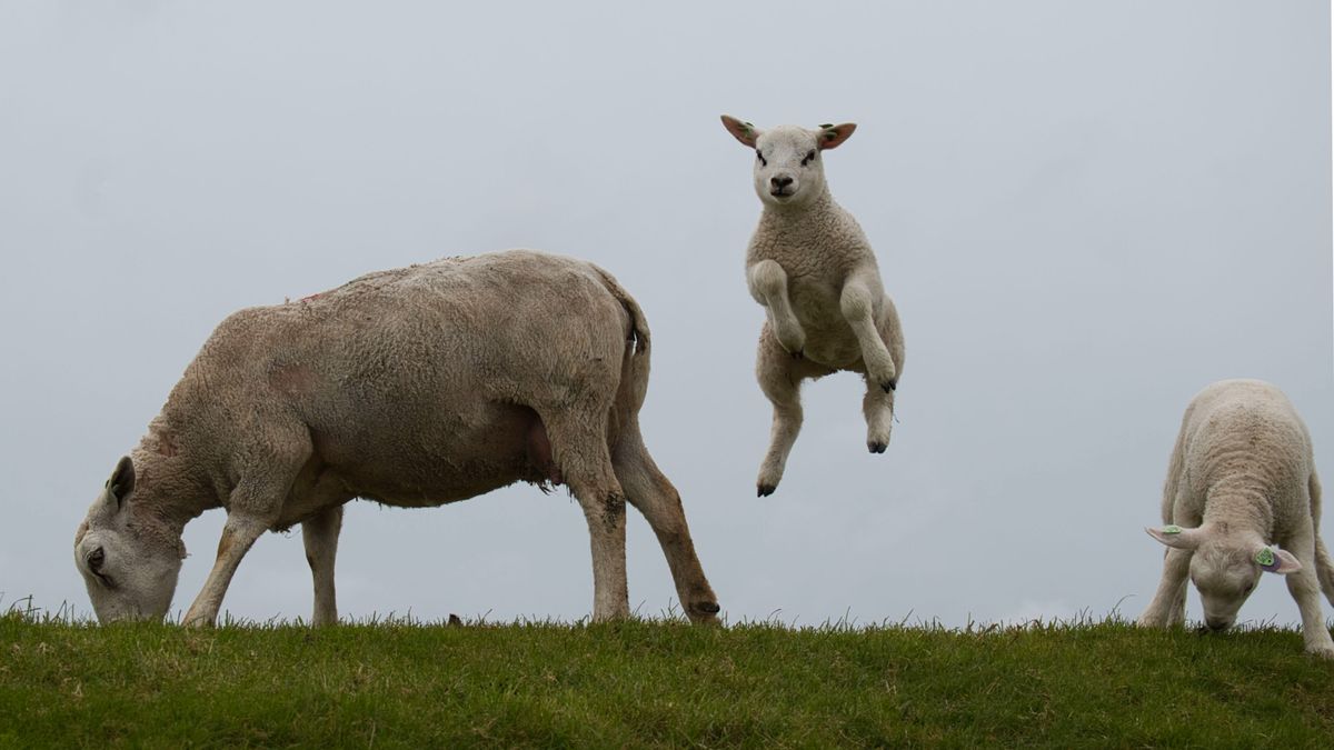 Lente in de lift, winter in de staart: zo verliep het weer in maart