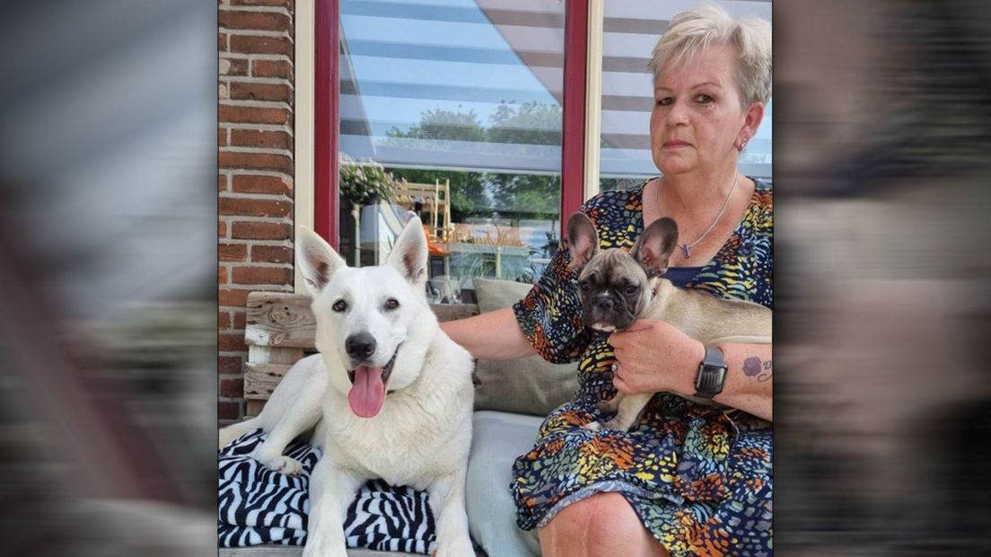 Esther met de twee honden met wie ze nu samenwoont | Foto Omroep West