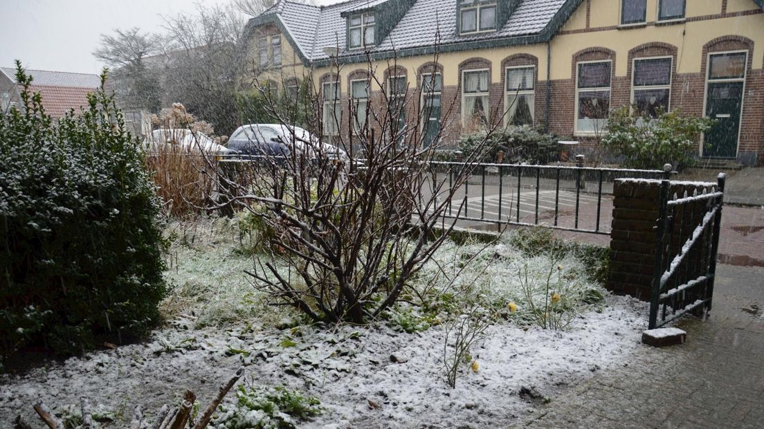 Witte wereld in Steenwijk