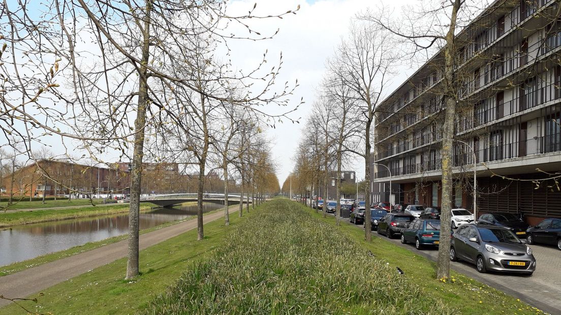 Een deel van de Rijswijkse Landingslaan