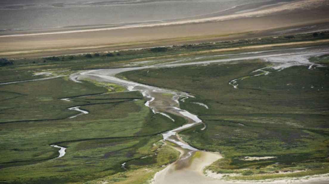 Nationaal Park Schiermonnikoog