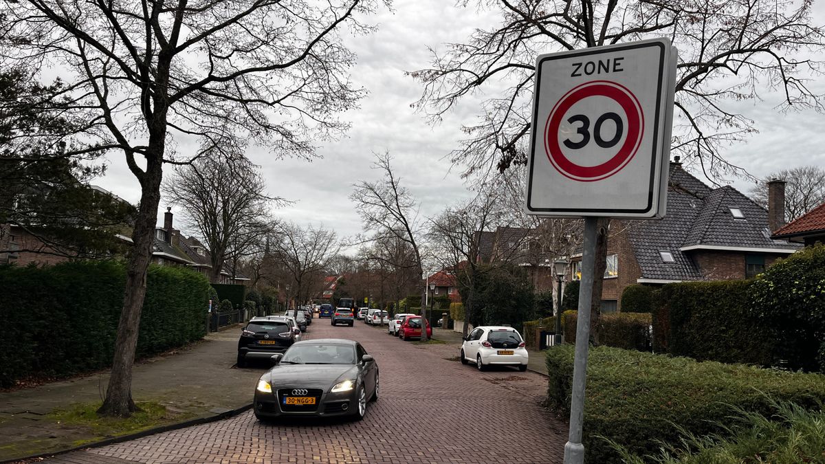 Vrijwel heel dorp naar 30 kilometer per uur: 'Moet wel worden gehandhaafd'