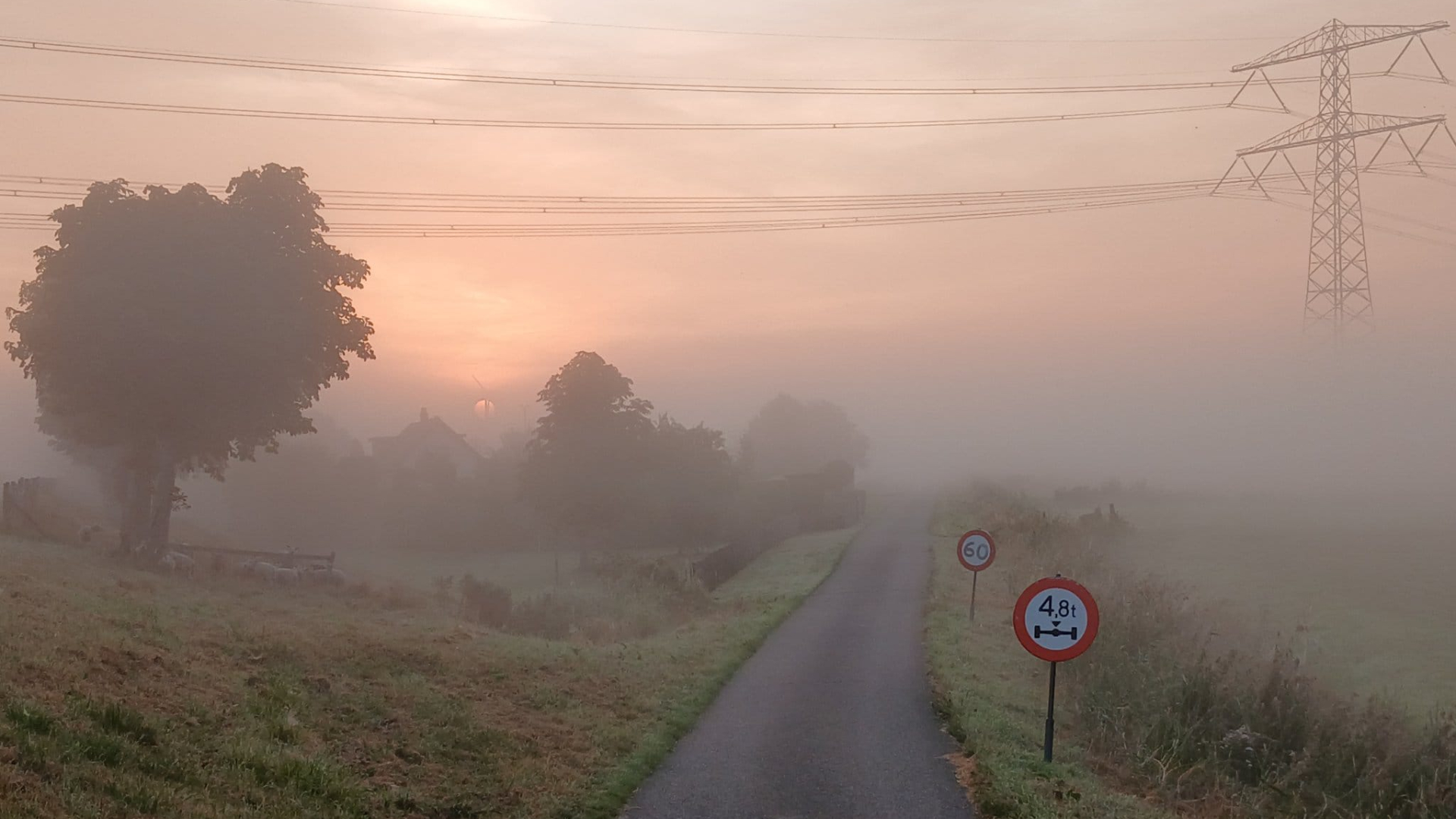 Op veel plekken in de regio komt woensdagochtend dichte mist voor.