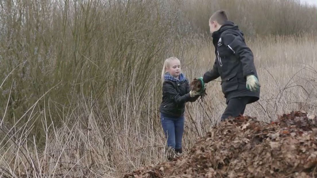 Kinderen helpen mee bij het zoeken naar eierschalen en het opbouwen van broeihopen (Rechten: RTV Drenthe)