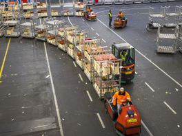 Voor meer dan miljoen euro aan veilingkarren gestolen, celstraf voor dieven