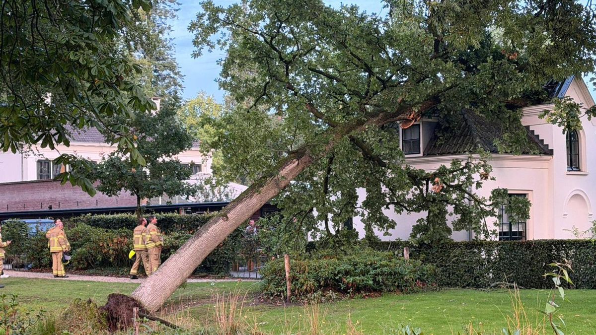 Mogelijk schietincident in Nijmegen • auto in de sloot