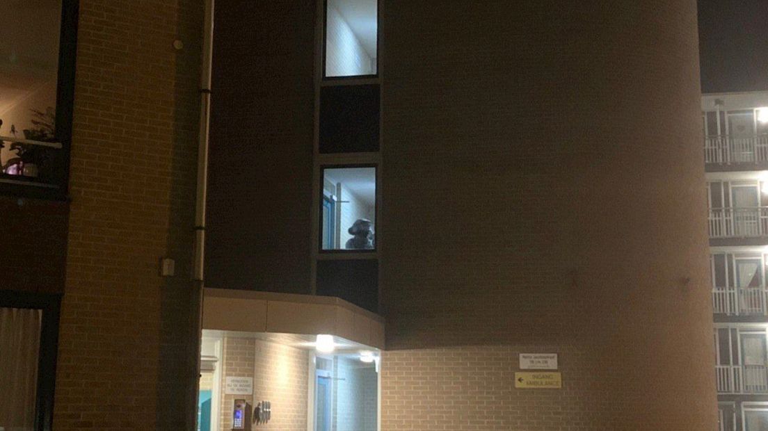 Politie valt flatgebouw in Almelo binnen
