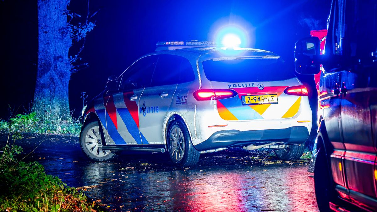 Auto raakt van de weg en botst tegen boom in Nijeberkoop