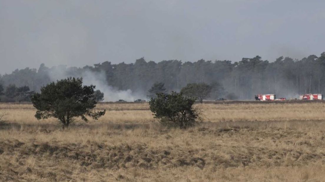 De brandweer op de Veluwe rukte maandagmorgen uit voor een heidebrand in het nationale park de Hoge Veluwe. Het betrof een beheerbrand, dat zijn aangestoken branden om de vegetatie te verjongen en waardoor de biodiversiteit toeneemt.