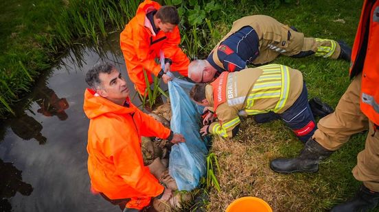 Beekje stroomt leeg, brandweer ontrafelt mysterie