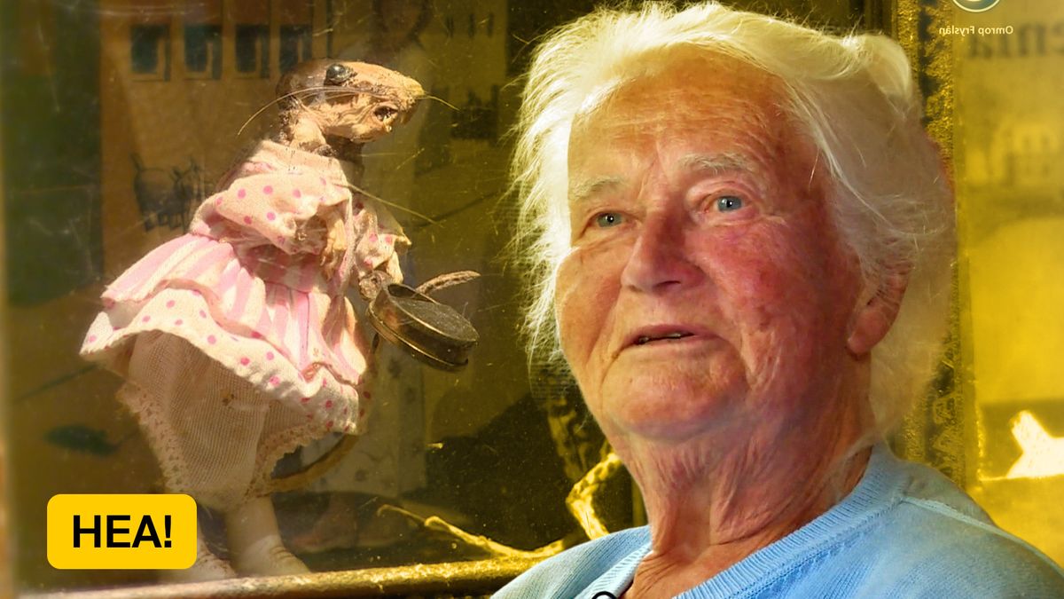 HEA! De opgezette diertjes van Brecht