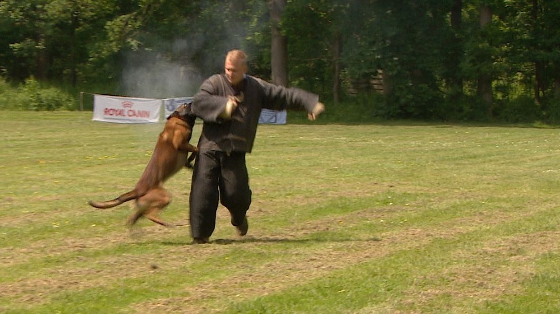 'Werken met politiehonden is een prachtige sport' (video)