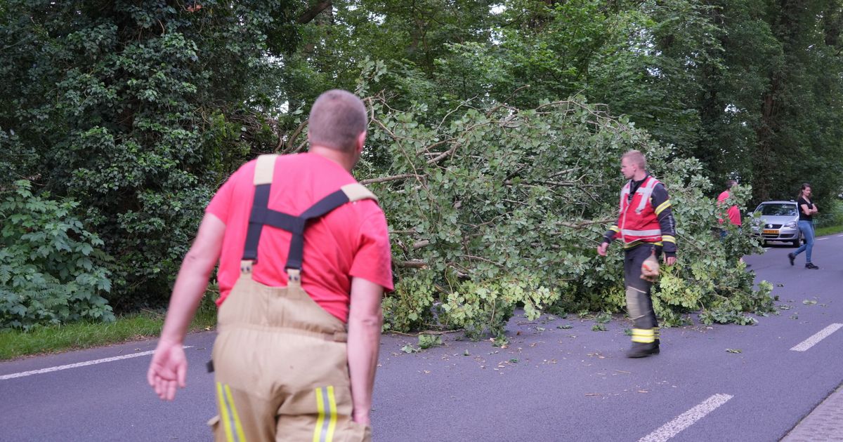 Afgebroken tak verspert weg in Norg