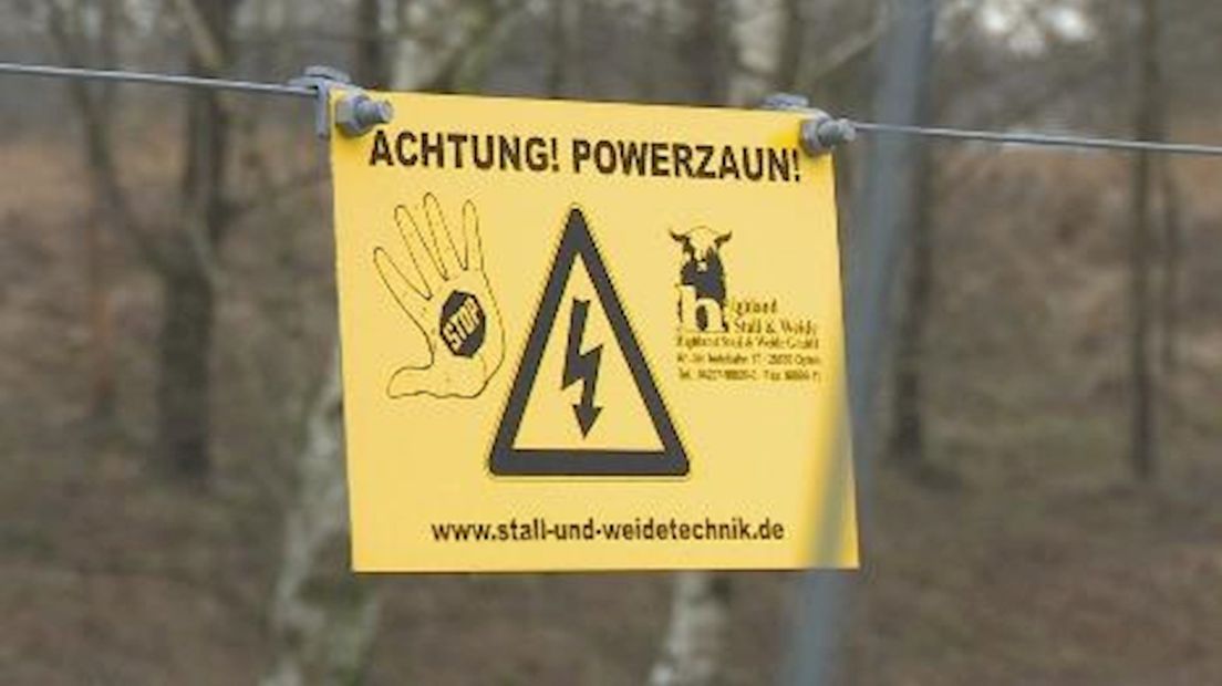 Duitse Naturschutzverein experimenteert met stroomhek tegen wolven