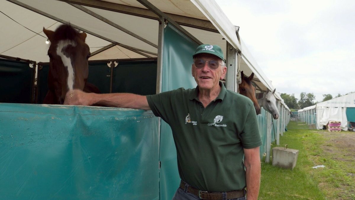 Henk (83) zorgt voor honderden paarden: 'Vroeger was ik er bang voor'